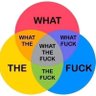 Cpt Nico's profile picture