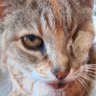 Big aBob profil fotoğrafı