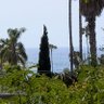 Фото профиля windward.eth בשנה הבאה בירושלים