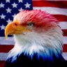 Palmtreesandsunshine's profile picture