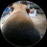 Epo profil fotoğrafı