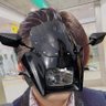 サイボーグ歌丸FX(過激派)'s profile picture