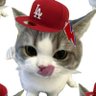 nzwaa_cb's profile picture