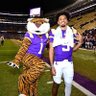 B Roy's profile picture