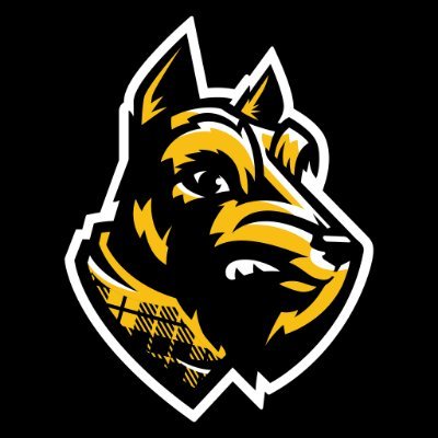 WoosterSports's profile picture