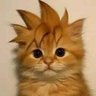 小财神🔶BNB(R 版) profil fotoğrafı