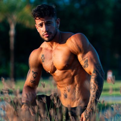 Gui dias 🏳️‍⚧️🇧🇷's profile picture