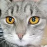 pasulj profil fotoğrafı