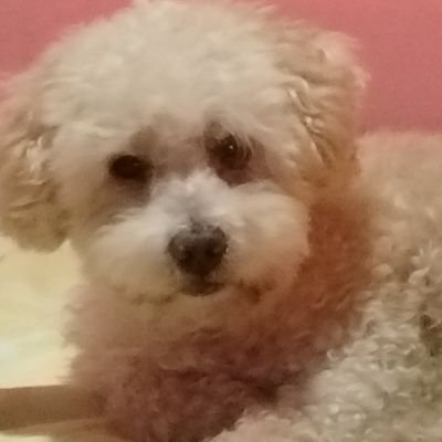 AlexPausen's profile picture