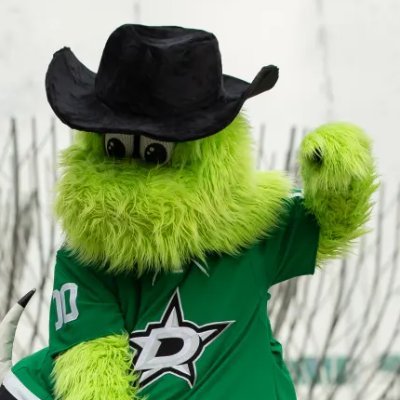 DallasStarsDDH's profile picture