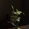 一打一打's profile picture