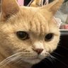 Andy's profile picture