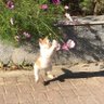 水时微 profil fotoğrafı