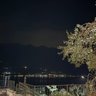 Baton profil fotoğrafı