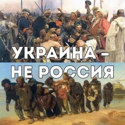 Feniks134186's profile picture