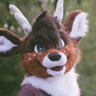 TheNubScout's profile picture