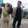 malbeyinli's profile picture