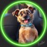 Profilbild von ⭐J.B.⭐️