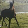 b7r_6 profil fotoğrafı
