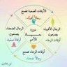 Tareq Salem's profile picture