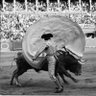 David de Carla's profile picture