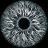 𓁹‿𓁹's profile picture