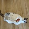 Betty profil fotoğrafı