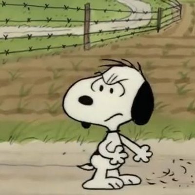 grone provinciano's profile picture
