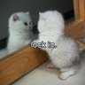 defo profil fotoğrafı