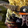 Фото профиля Rajang Maracucho 🐒⚡🌩️
