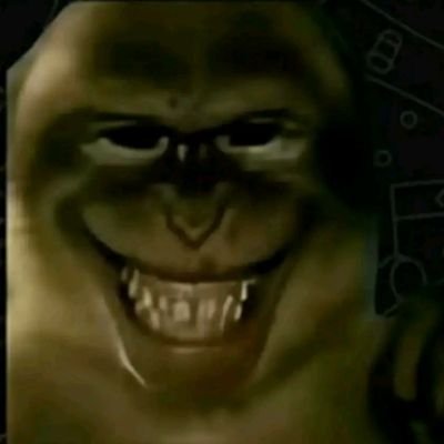 Sar's profile picture