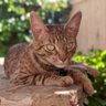 Terry profil fotoğrafı