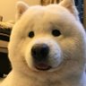 hua's profile picture