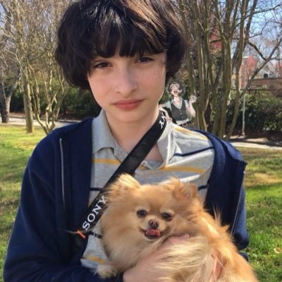 Manolya 🫧 mitski byler ceo's profile picture