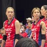 NEC_YUKKO_YOSHINO's profile picture