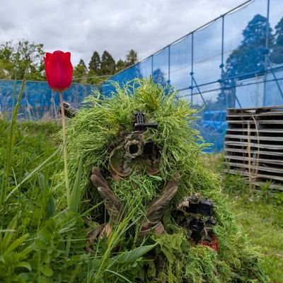りょぶ's profile picture