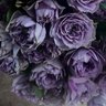 Фото профиля 紫