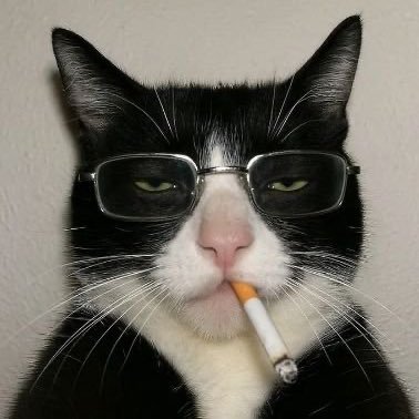 Bielzin's profile picture