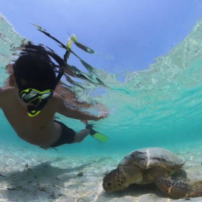 kyopan_dicekey's profile picture