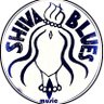 Profilbild von Shiva Blues Music