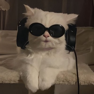 chaandmami's profile picture