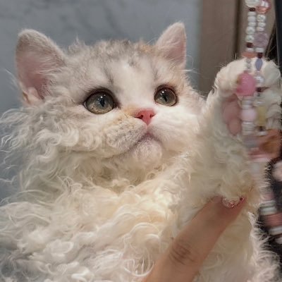 Christi16276792's profile picture