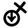 Stefan - RT & Promo-Sub's profile picture