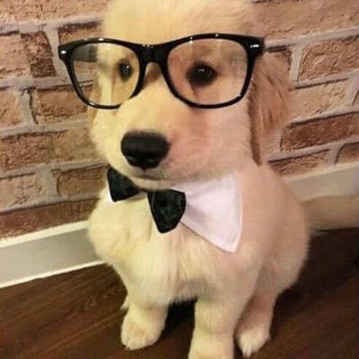 char's profile picture