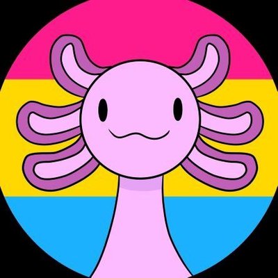LADYBOY LOOP 🫧's profile picture