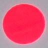 人肉's profile picture
