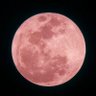 Фото профиля luna
