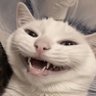 ziuseppe's profile picture