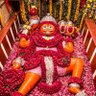 Ayush Ojha's profile picture