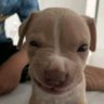 YAAAH's profile picture